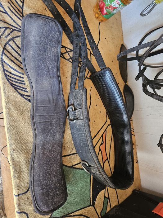 Pas + popręg do lonżowania