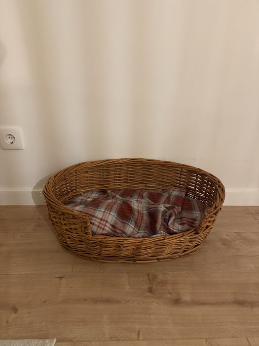 Cama gato ou cao