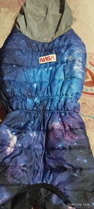Одежда для собаки девочки