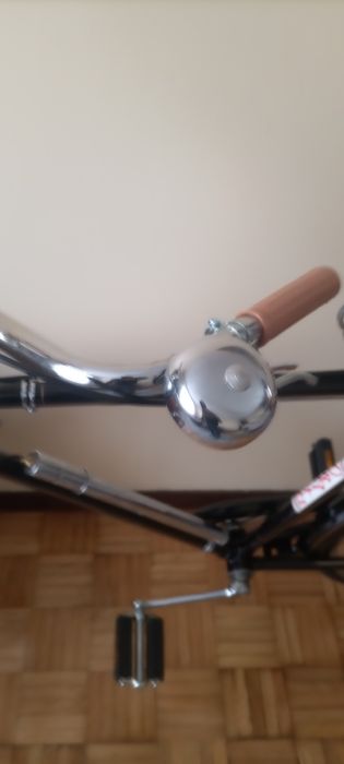 Bicicleta Pasteleira