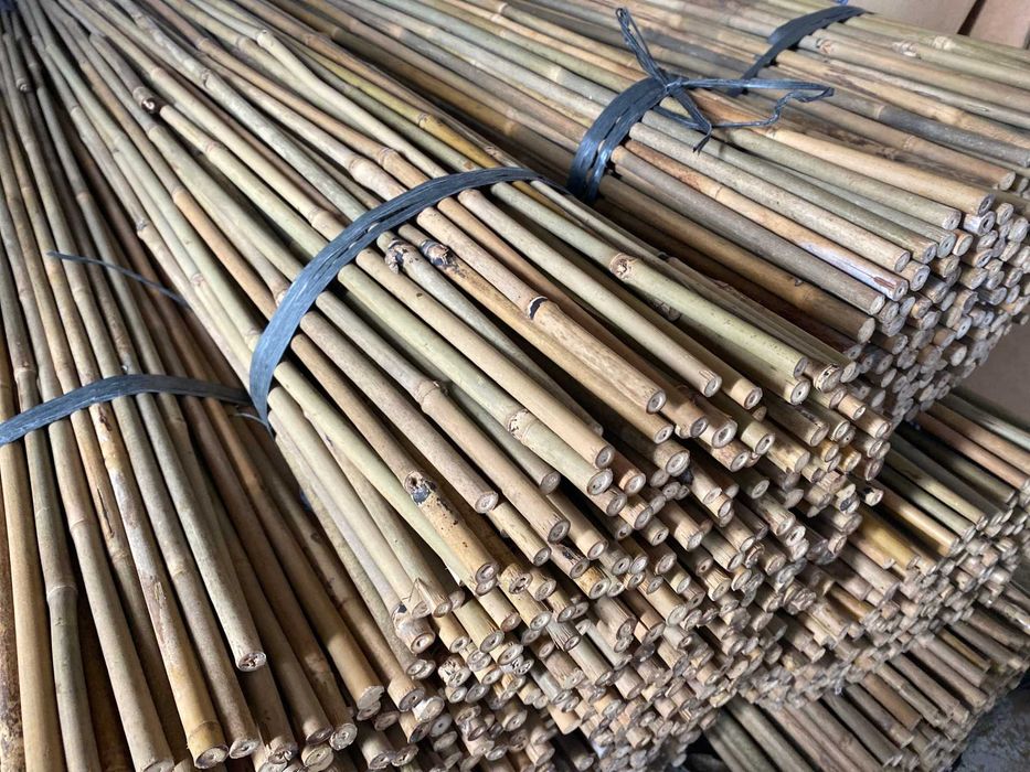 Tyczki bambusowe, 180cm, 12-14mm, bambus, tonkin