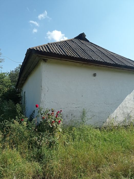 Садиба біля річки Десна. Село Лебедівка.