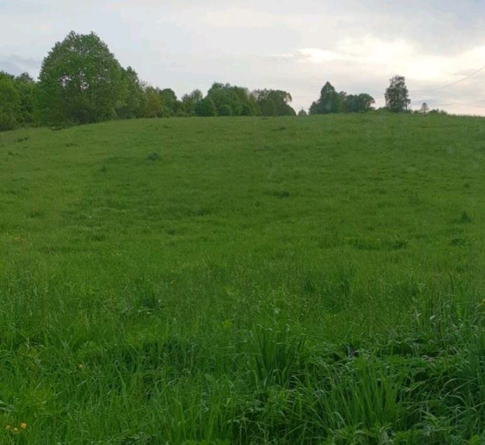 Zlecę wykonanie łąk na terenie Brzozowa.