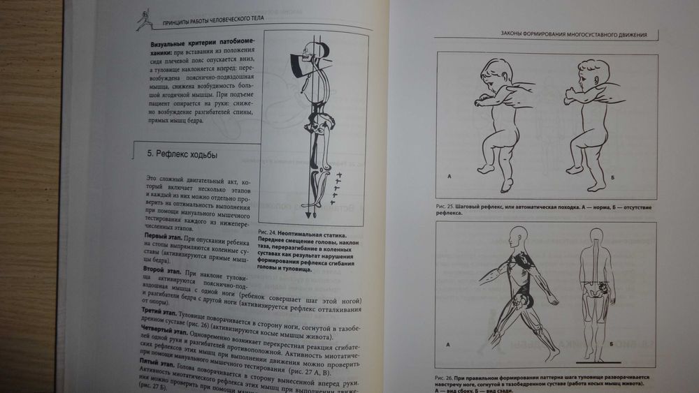 Книга "Прикладная кинезиология" Васильева Л.Ф.