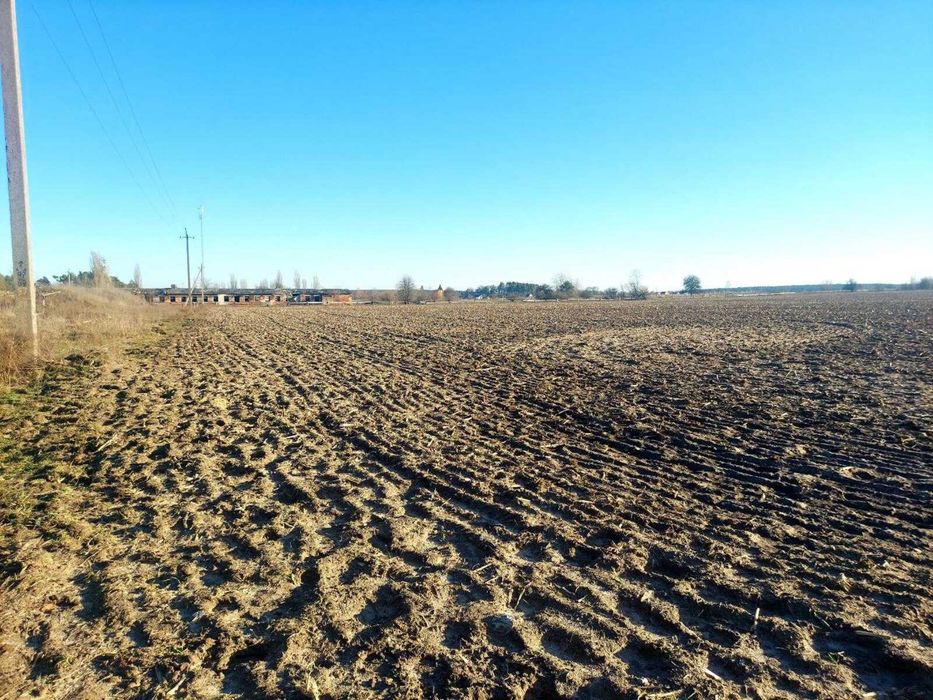 Продаж ділянки 3,64га під садівництво в с.Кам'янка(26139600) - Вид 5