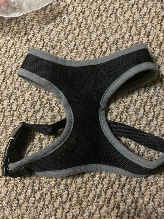 Шлейки для собак