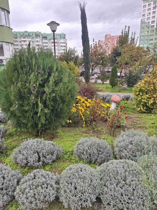 Одно комн. 52мт ЖК Острова (свеча)