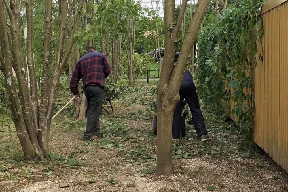 Розчистка ділянок, прибирання територій під ключ