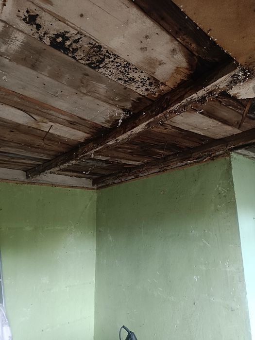 REZERWACJA Ogródek działkowy Rod Raj Rybnik 294m2 działka rekreacyjna
