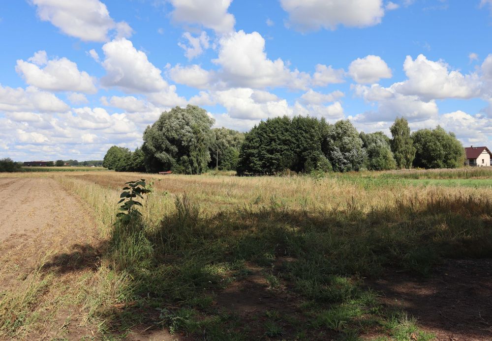 Działka na sprzedaż - Pęzino, gm. Stargard, 8257 m²