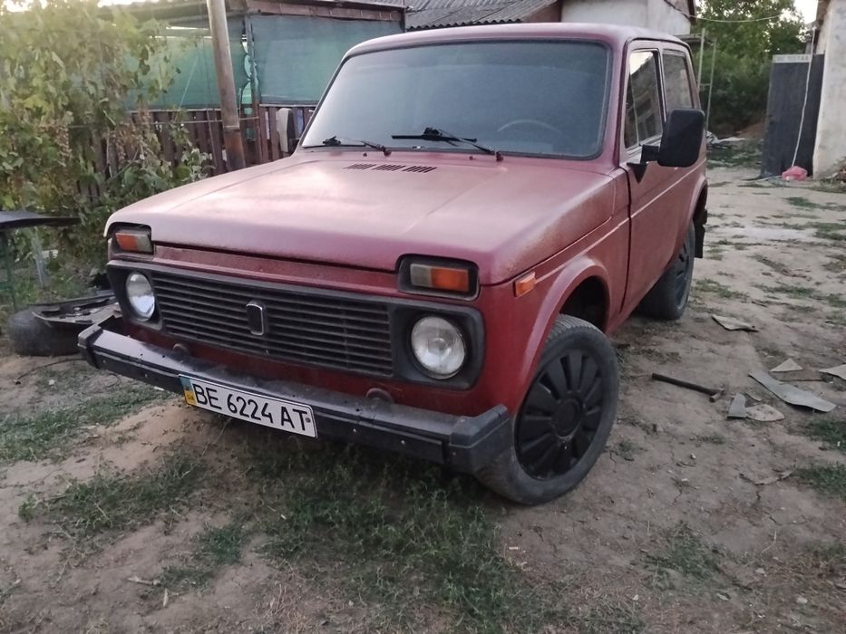 В продаже нивасик