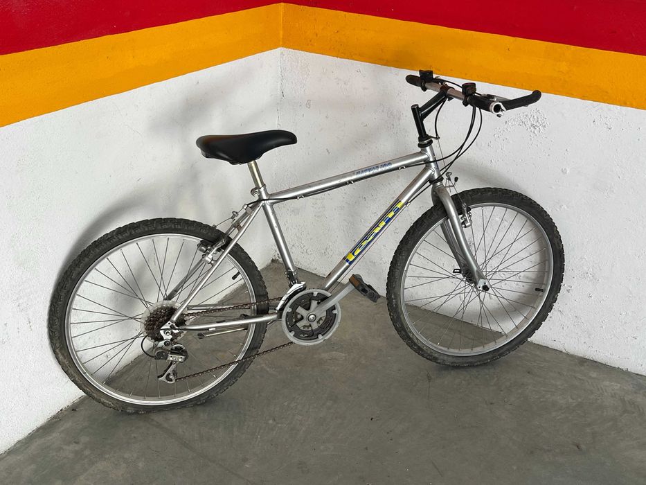Bicicleta roda 24
