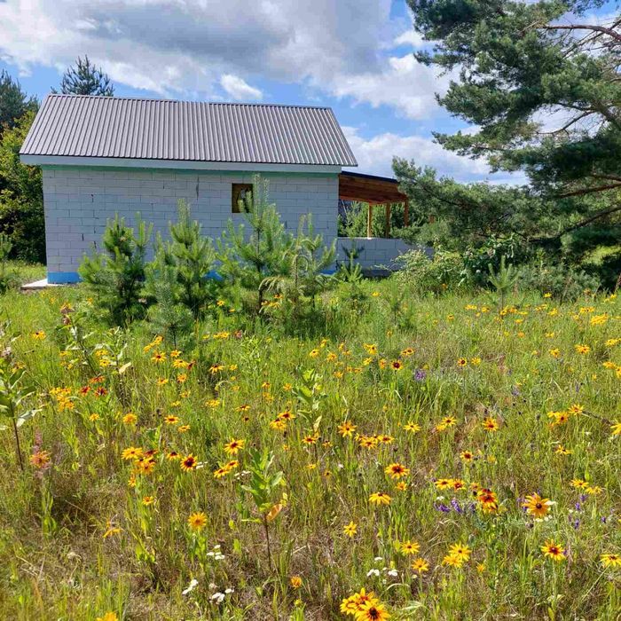Ділянка з новобудовою.