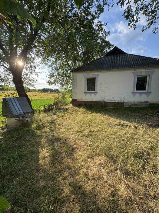 Продам будинок в селі  Ківшовата