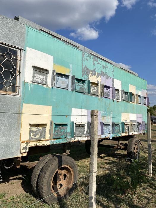 Павільйон для бджіл