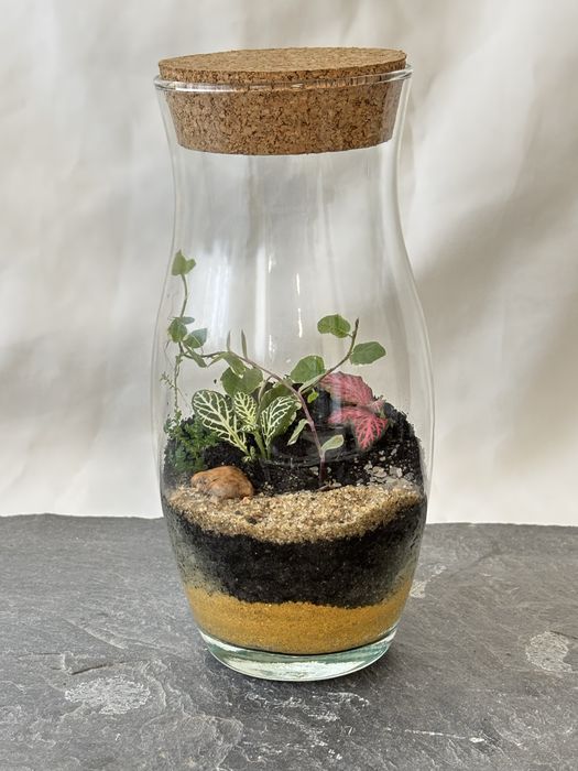 Terrários fechados