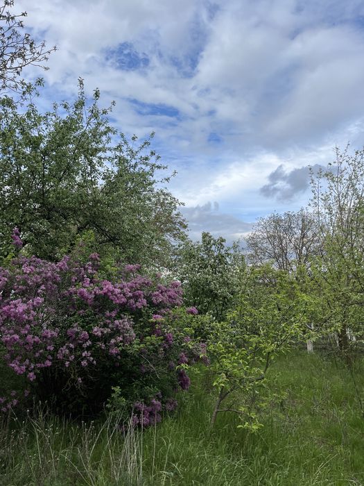 Будинок із землею Мала Жмеринка