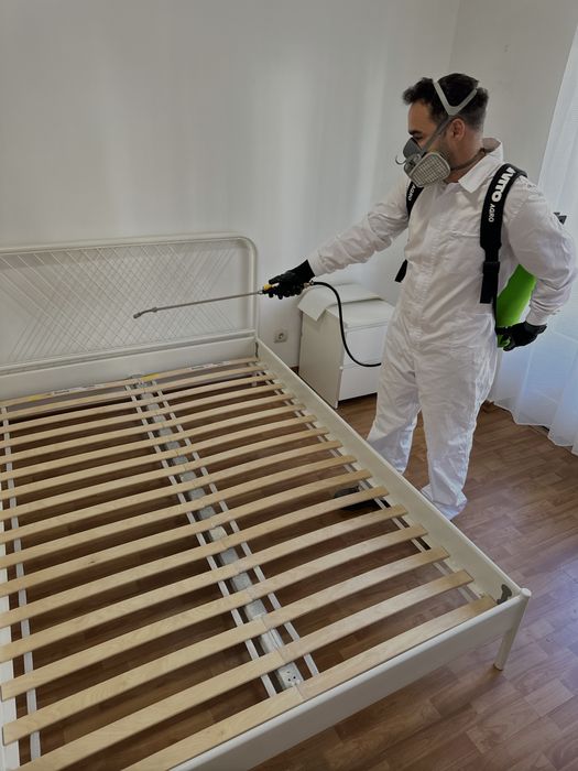 Desinfestacao PERCEVEJOS PULGAS RATOS BARATAS TERMITAS