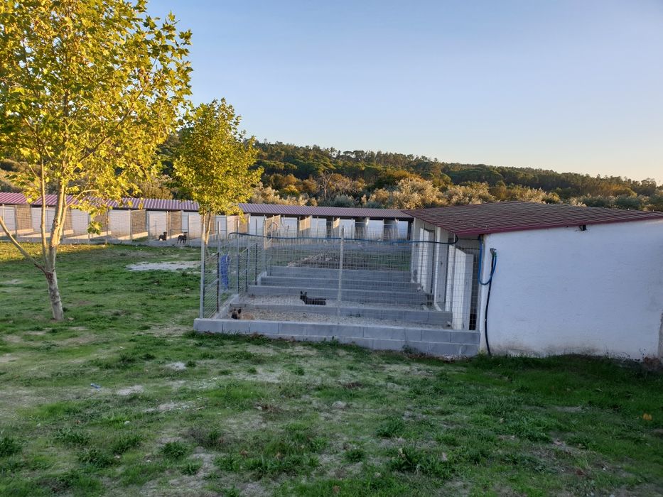 Hotel Canino Quinta do Pêgas
