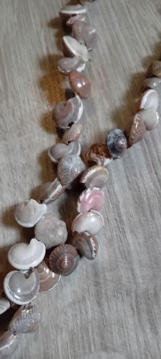 Korale z muszelek boohoo x2szt.