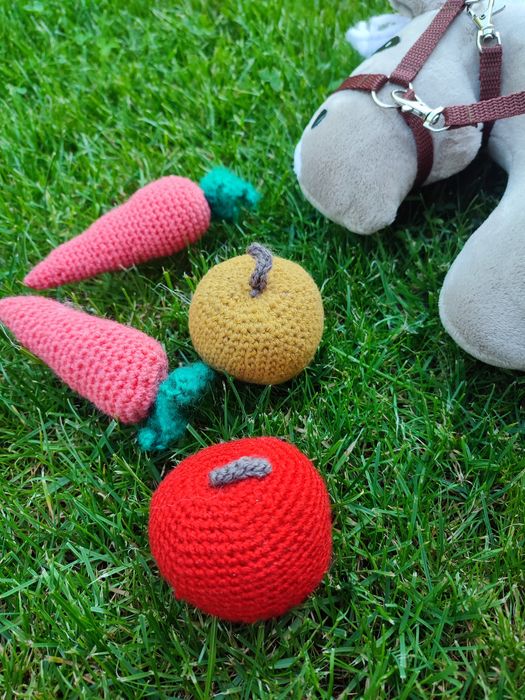 Warzywa, owoce dla hobby horrse