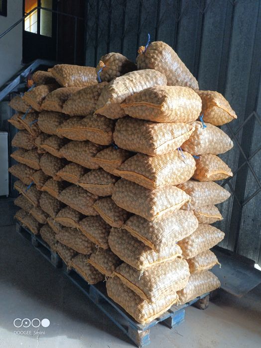 Nozes 100%  Nacionais