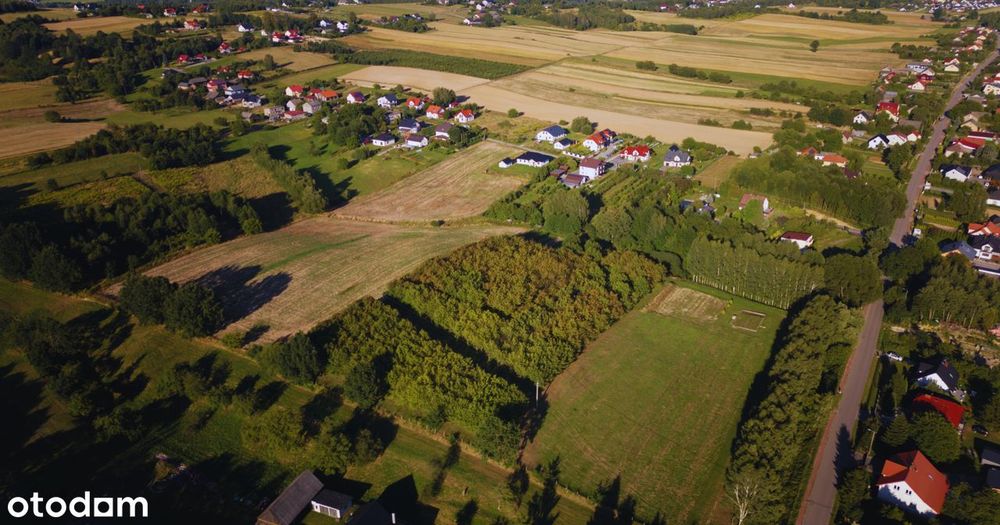 1,6 Ha Z Potencjałem - Inwestycja Lub Wyjątkowa Posiadłość