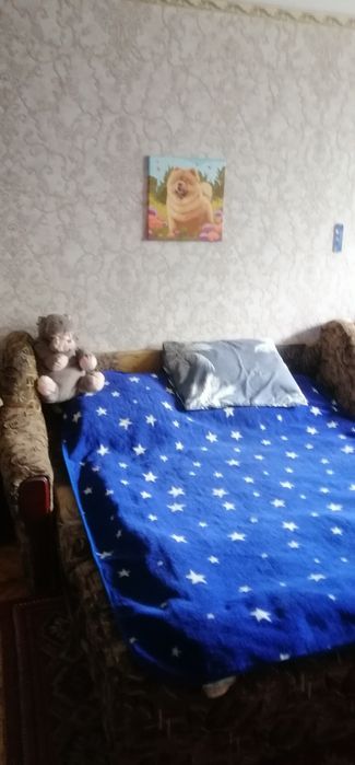 Продам свою 1-кімн. квартиру, 3/5, по вул. Запорозького козацтва, за 14500 $, р-н Педучилища, Хортицький м-рн