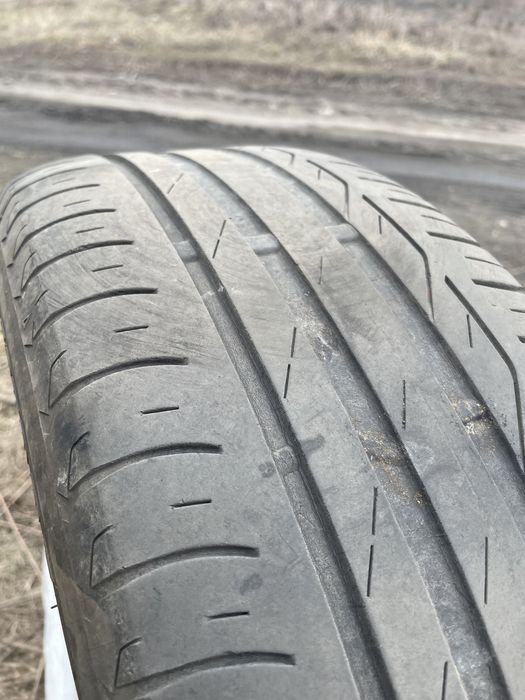 Літні шини Bridgestone 205/55 R16: 1 000 грн. - Автошини Добропілля на Olx