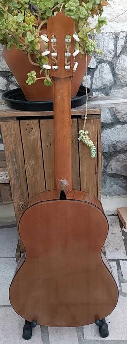 Guitarra Portuguesa APC 1S + Bag almofadado - (Solid Top)- Great Deal