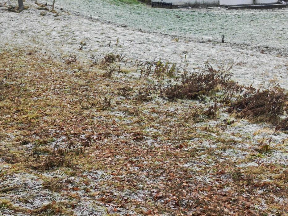 Sprzedam działkę rolno-budowlaną 16 arów