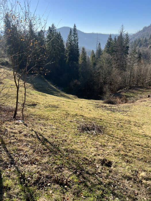 Продам земельну ділянку Славське