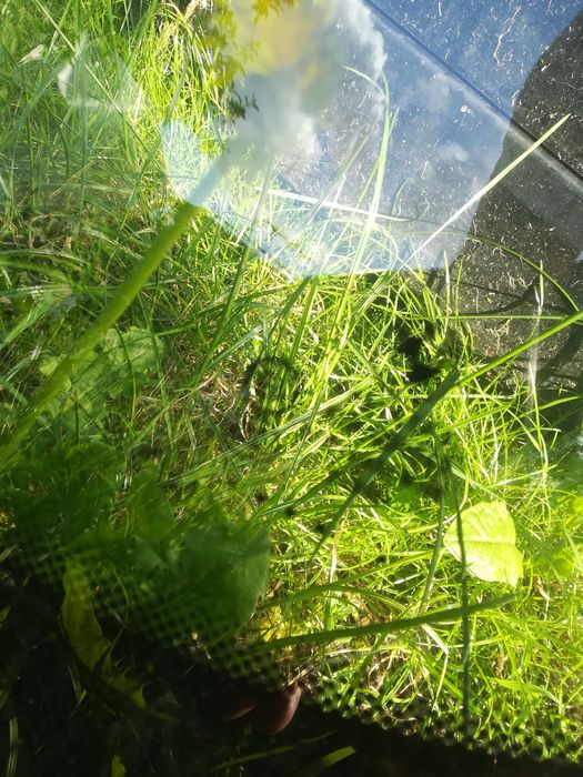 Szyba czołowa  oryginał bmw e60 e61 head up