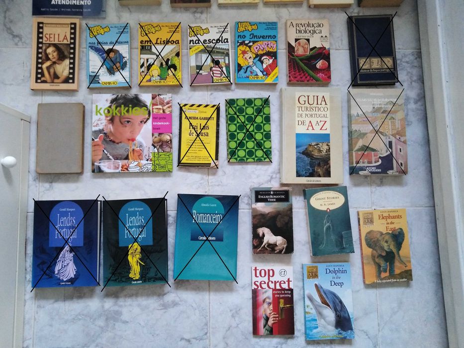 Livros de Vários Temas