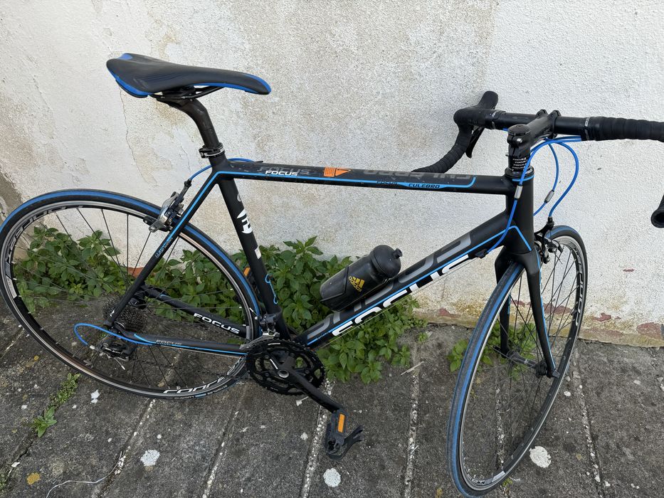 Bicicleta estarda focus