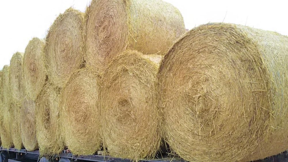 Sprzedam słomę kostki bele transport