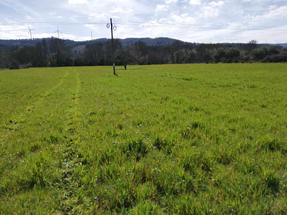 Quinta em Meimoa 9 ha