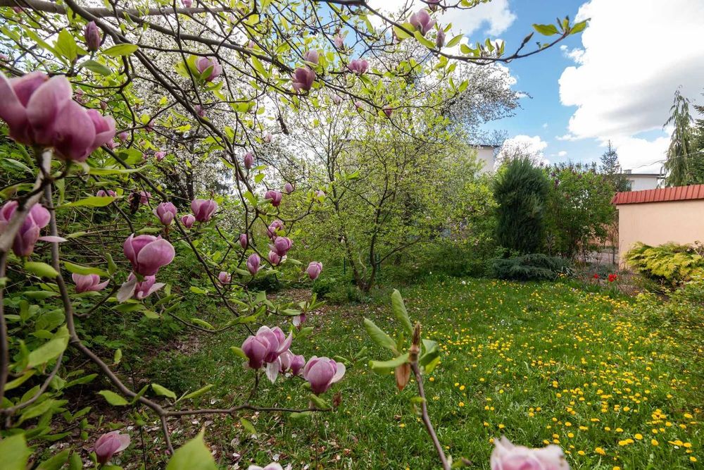 Оренда окремої будівлі. 360кв.м. 10сот. вул. Херсонська. 2000$/міс.