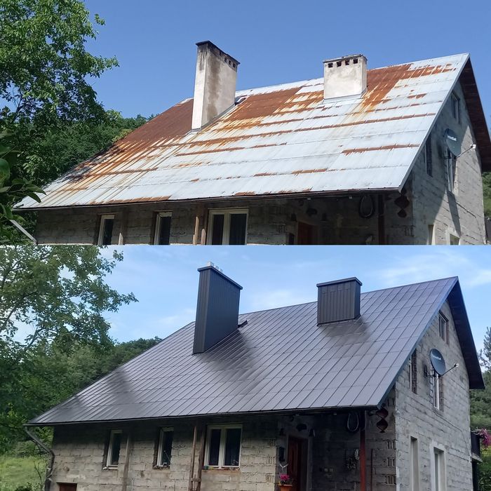 Wycinka alpinistyczna drzew, malowanie dachów, rębak do gałęzi