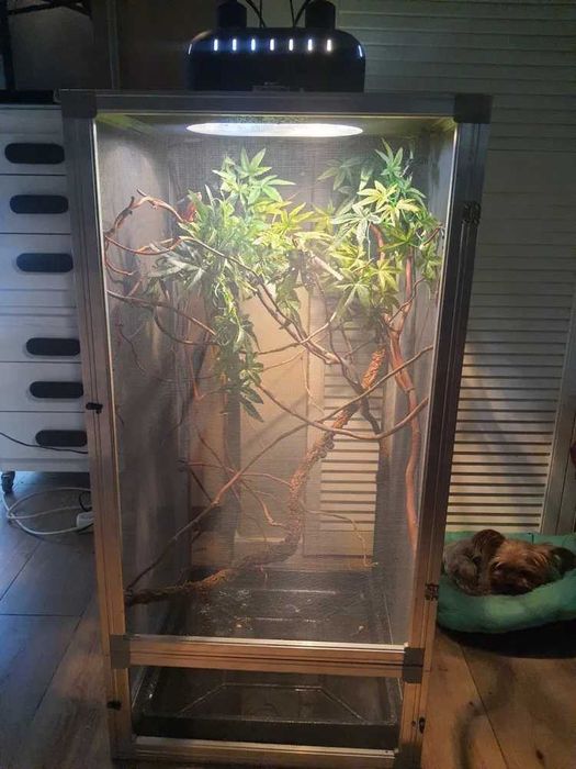terrarium dla gadów