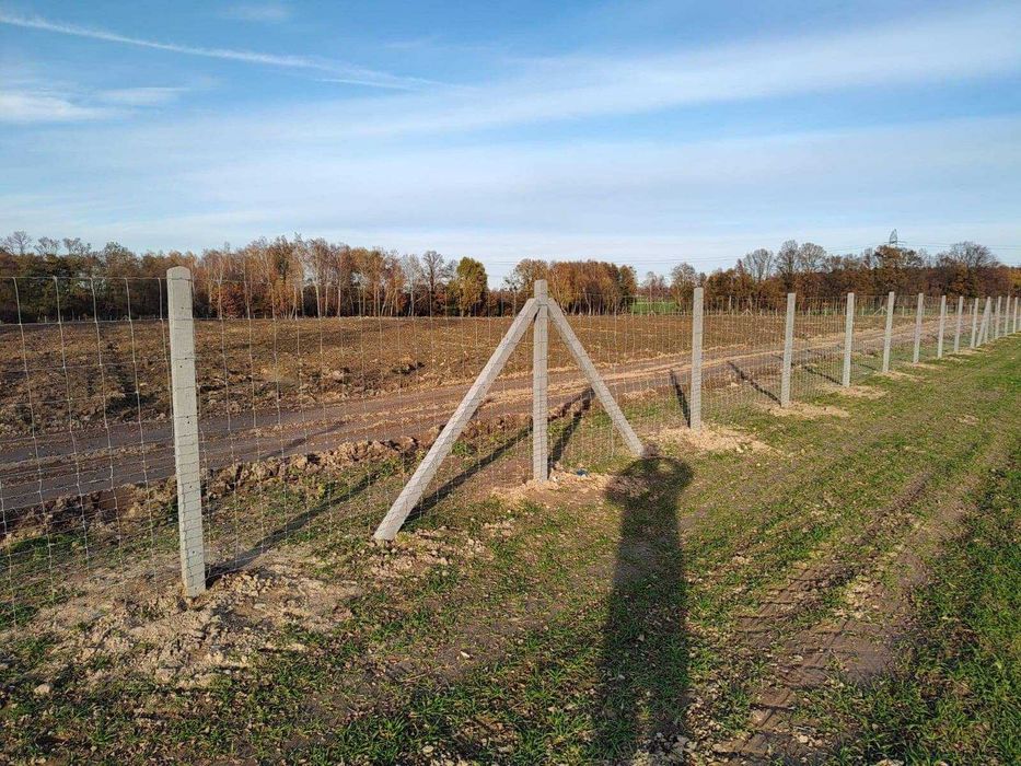 Słupki Betonowe do siatki