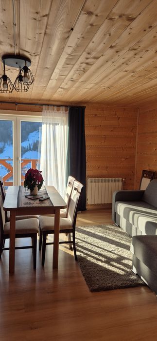 Domek w gorach z widokiem na Tatry /kominek/balia