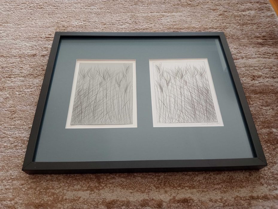 Quadro José Rosinhas 2015