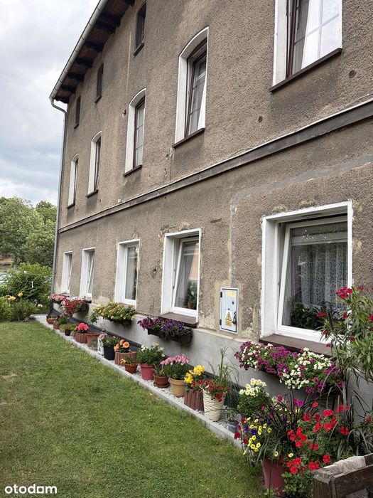 Dwie kawalerki w Dzierżoniowie za 145000
