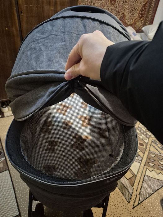 Carello Epica 2024 2в1