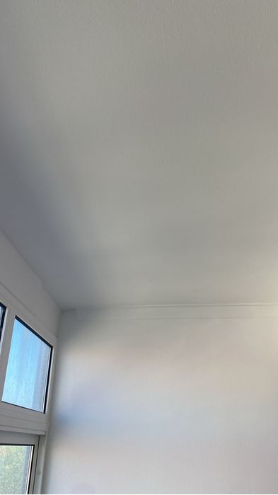 Execução Profissional de Pintura para Casas e Apartamentos
