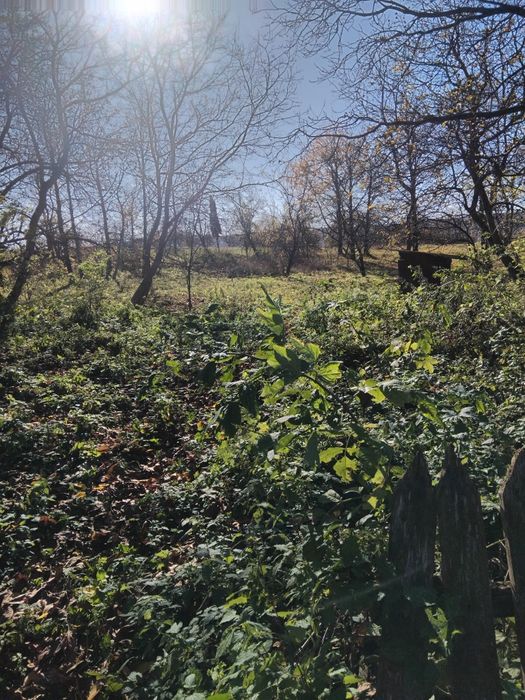 Продам будинок в с. Липина Золочівського району.