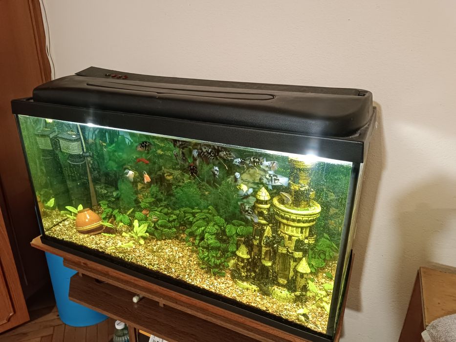 Акваріум 200 л..