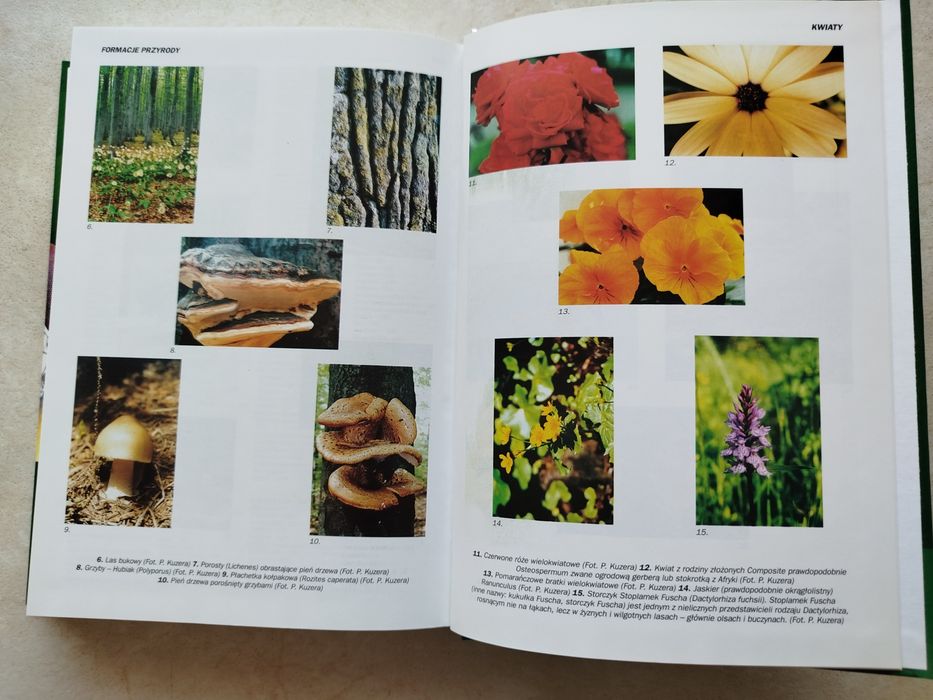 Encyklopedia Biologia