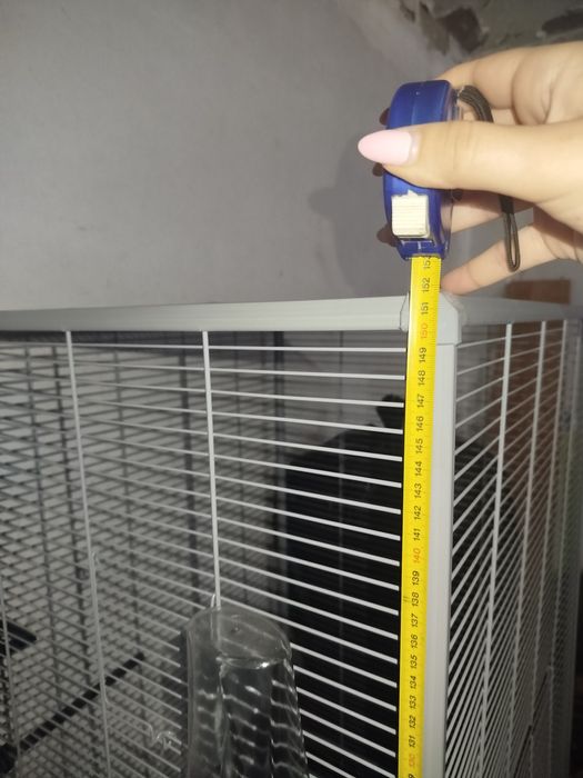 Gaiola Piriquitos Nova